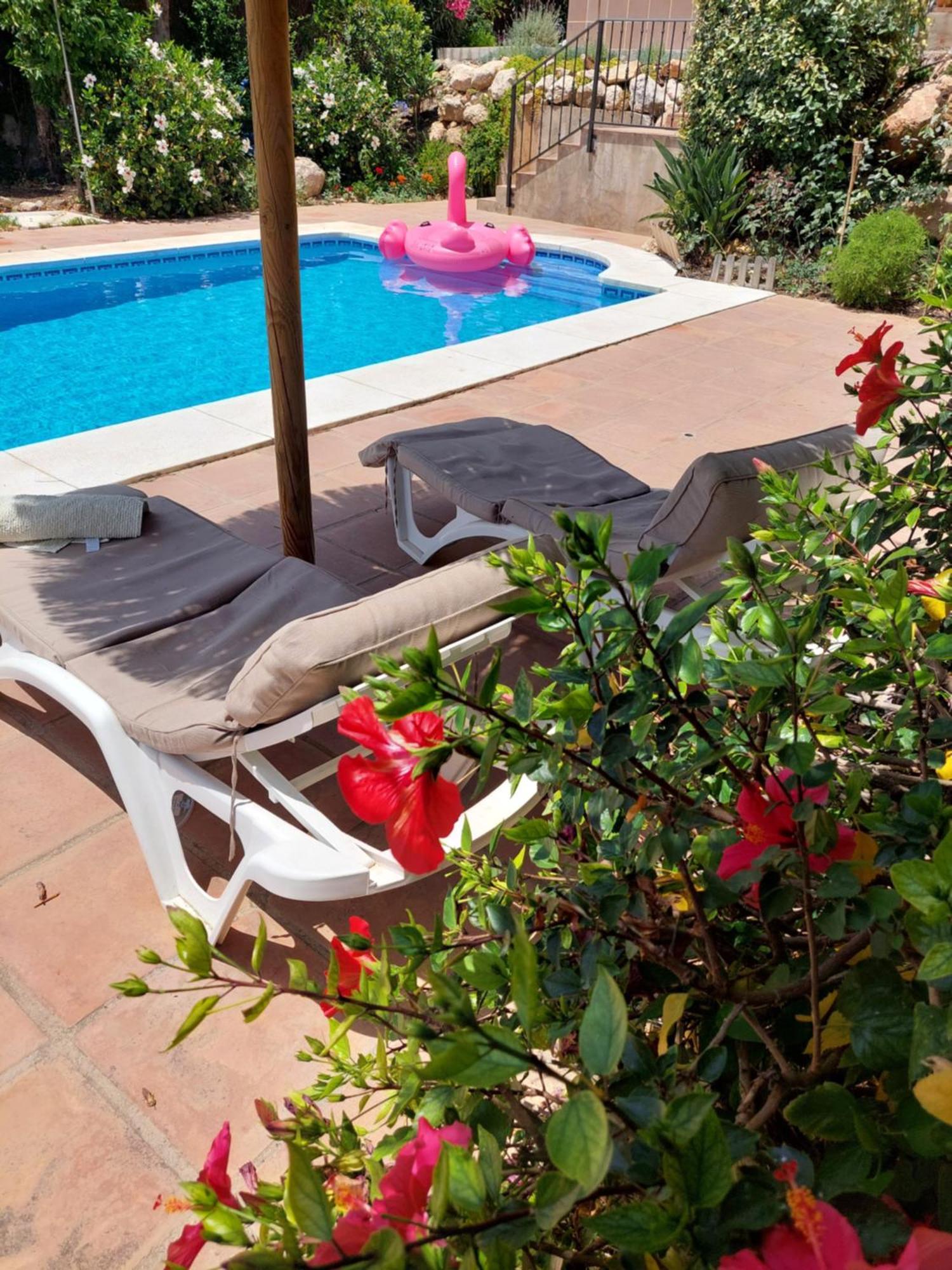 Casa Sunflower Willa
