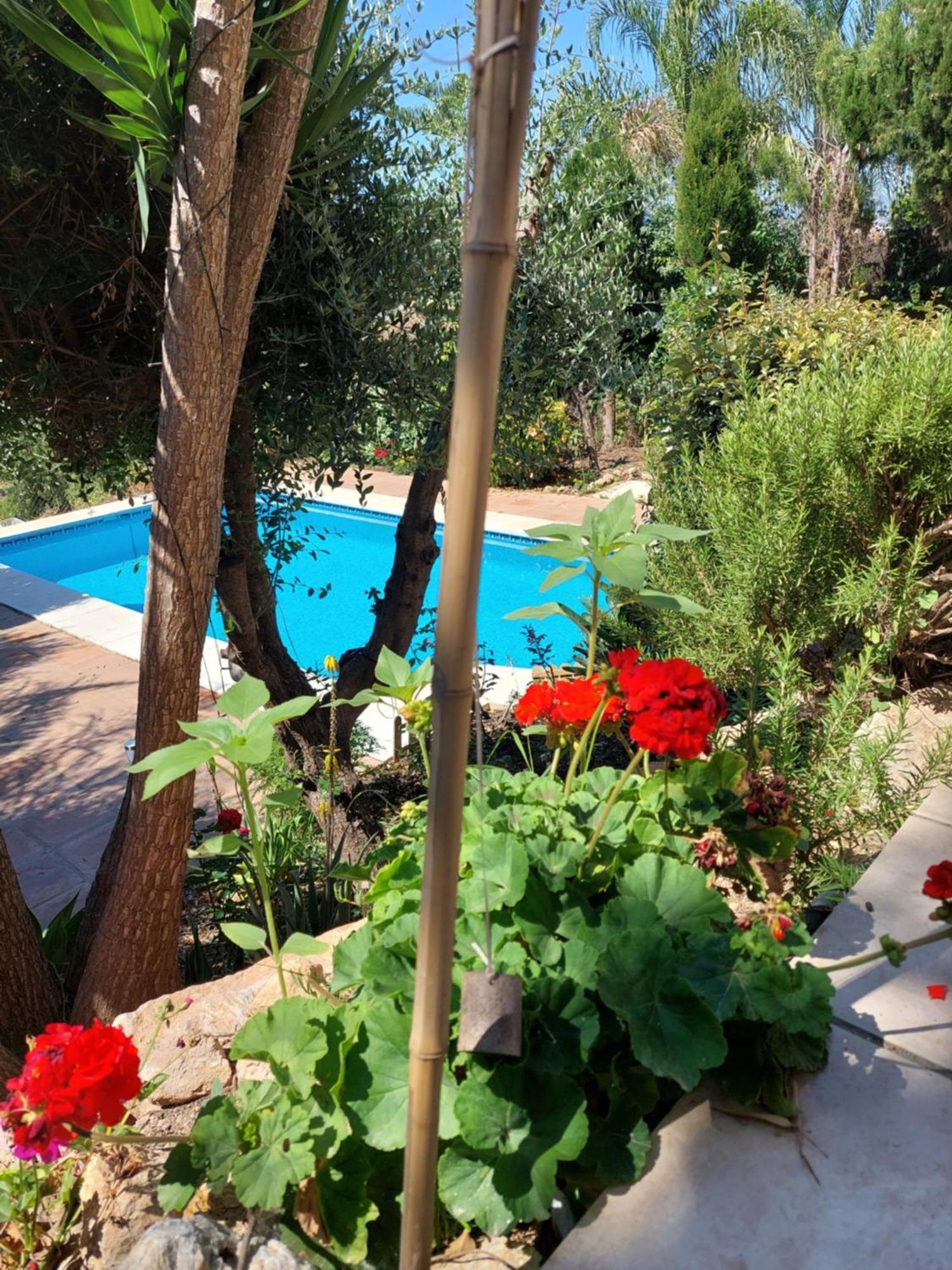 Casa Sunflower Málaga